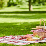 Tips for a Pest Free Picnic - Florida Pest Control