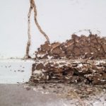 Do I Need Termite Coverage Where I Live?