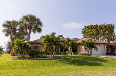 Freeze Damage and Your Florida Lawn