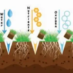 how core aeration works graphic - keep pests away from your home with florida pest control