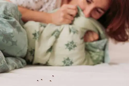 Person in a bed pulling back bed sheets to show a cluster of bed bugs - Florida Pest Control, Gainesville FL