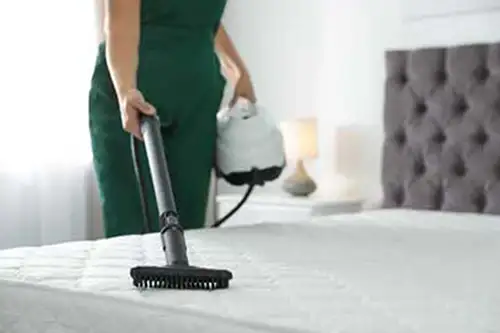 Person vacuuming a mattress - Florida Pest Control, Gainesville FL