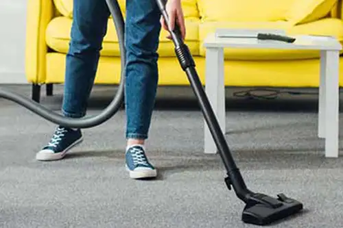 Person vacuuming a carpet - Florida Pest Control, Gainesville FL