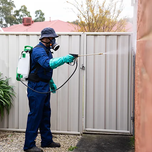 Technician spraying perimeter of a house 